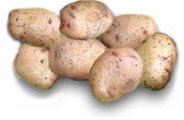 Семенной картофель, сорт Аврора