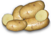 Семенной картофель, сорт Импала
