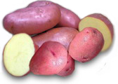 Семенной картофель, сорт Ред скарлетт