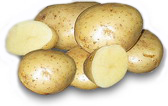 Семенной картофель, сорт Удача